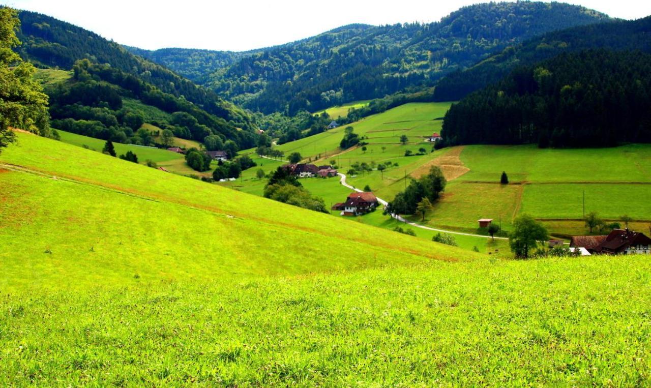 Gemuetliches Haus Im Herzen Des Schwarzwaldes Fuer Bis Zu 9 Personen Elzach Kültér fotó